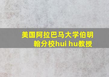 美国阿拉巴马大学伯明翰分校hui hu教授